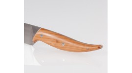 The Neptune Chef's Knife