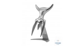 Brushed Fork + stainless-steel holder // Tridens